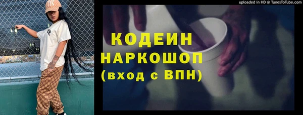 ешки Алзамай