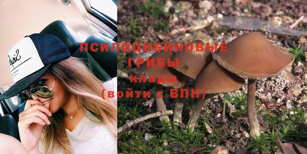 метадон Алексеевка