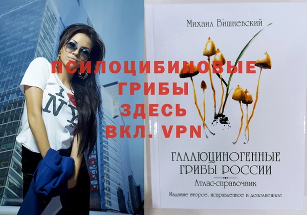 метадон Алексеевка