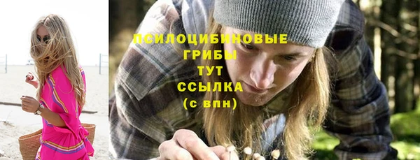 ешки Алзамай